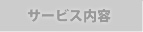 メインサービス